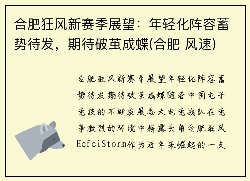 合肥狂风新赛季展望：年轻化阵容蓄势待发，期待破茧成蝶(合肥 风速)